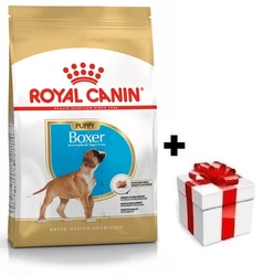 ROYAL CANIN Boxer Puppy 12kg + sorpresa per il cane GRATIS
