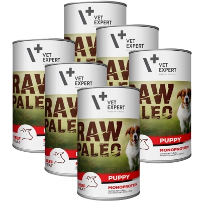 VETEXPERT Raw Paleo Puppy Beef 6x400g 