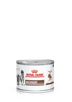 ROYAL CANIN Recovery 195g x6
