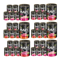 RAFI Cat Adult mix di sapori 36x400g