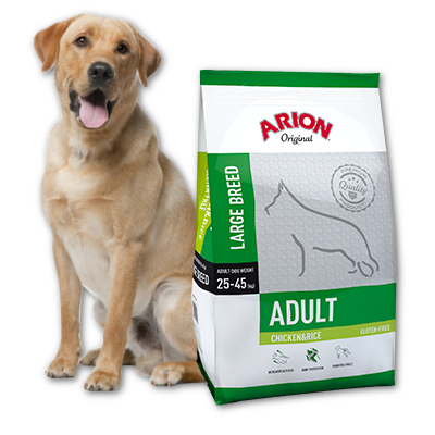 Arion Original Adult Large Breed Chicken&Rice 12kg x2