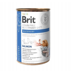 Brit Grain Free Veterinary Diet Dog/Cat Recovery Salmone 400g