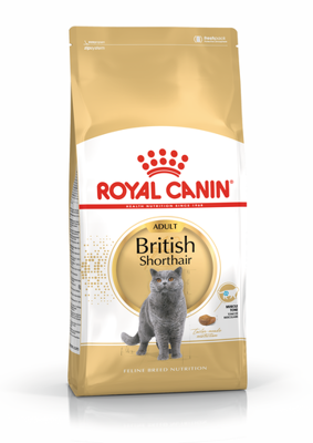 ROYAL CANIN British Shorthair Adulto 4kg