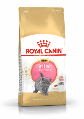 ROYAL CANIN British Shorthair Kitten 10kg