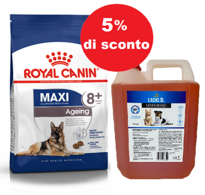 ROYAL CANIN Maxi Ageing 8+ 15kg + LAB V Olio di salmone 5l 