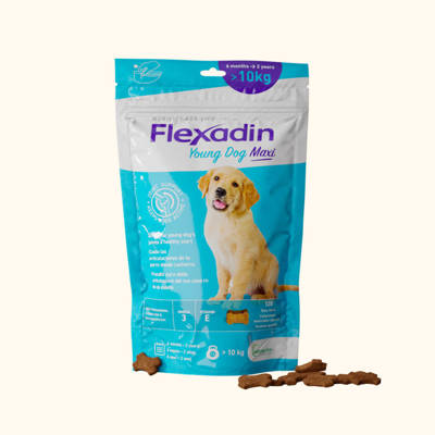 VETOQUINOL Flexadin Young Dog Maxi 60 pezzi